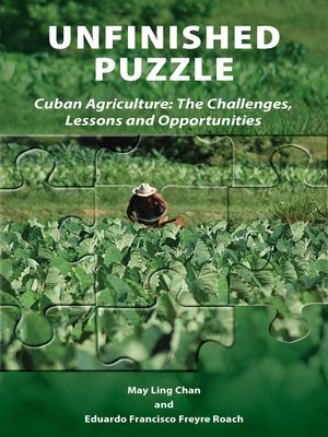 cover image of Unfinished Puzzle